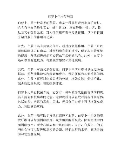 白萝卜作用与功效