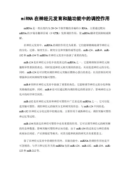 miRNA在神经元发育和脑功能中的调控作用