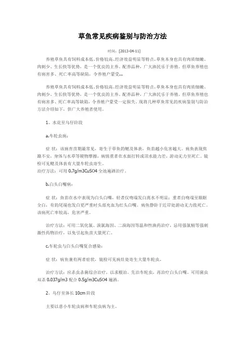草鱼常见疾病鉴别与防治方法