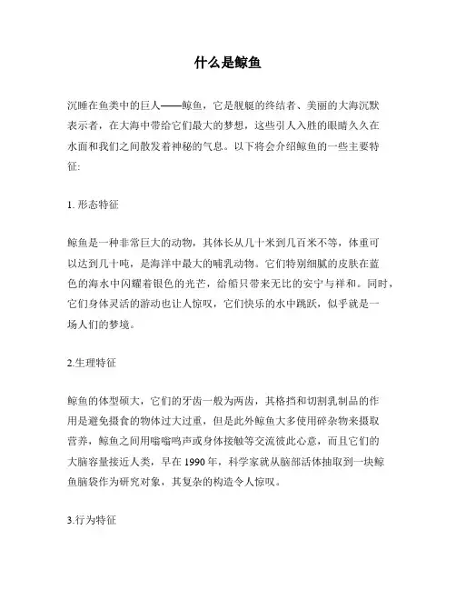 什么是鲸鱼