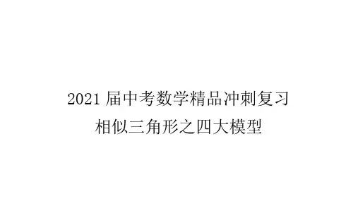 2021届中考数学精品冲刺复习 相似三角形之四大模型