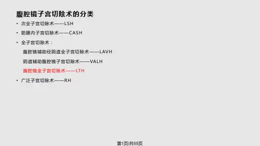 腹腔镜下全子宫切PPT课件