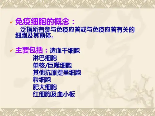 免疫细胞_PPT幻灯片 (2)