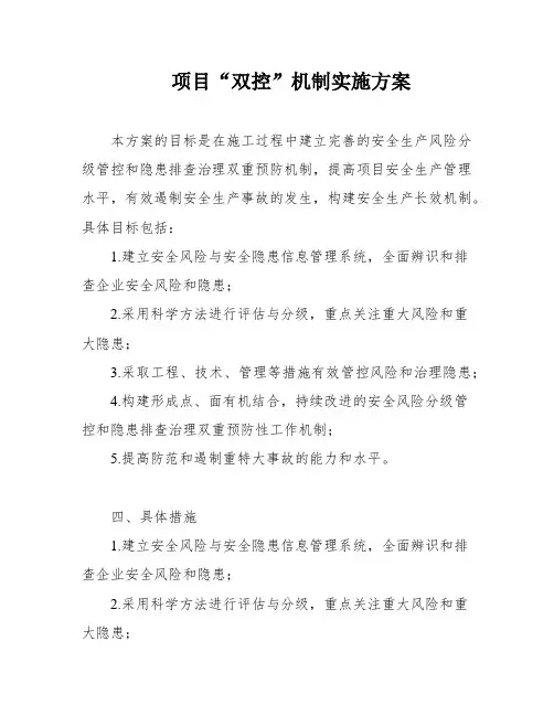 项目“双控”机制实施方案