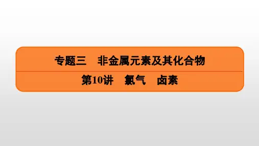 2023届高考化学一轮复习  第10讲 氯气 卤素 课件(72张PPT)