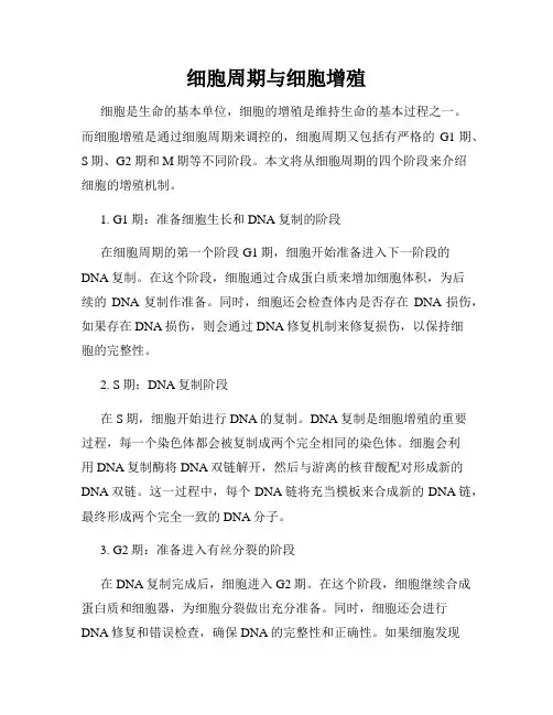 细胞周期与细胞增殖