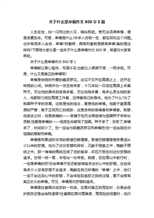 关于什么是幸福作文800字5篇