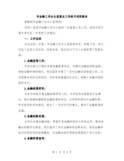 市金融工作办公室重点工作班子述职报告