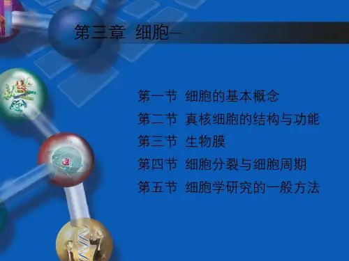 生命科学导论生命基本的单位