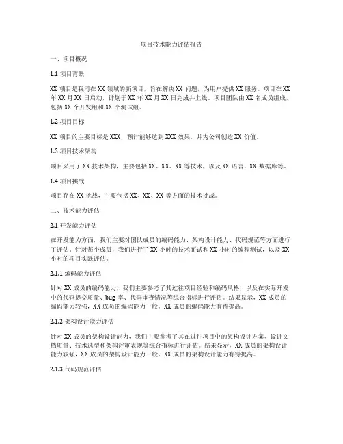 项目技术能力评估报告