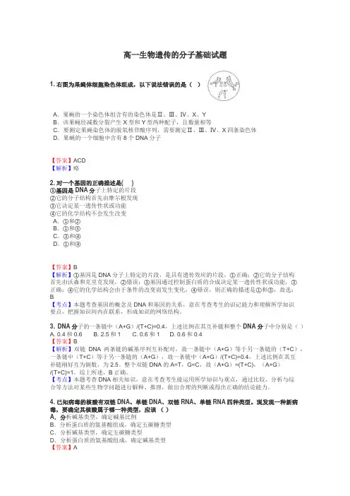 高一生物遗传的分子基础试题
