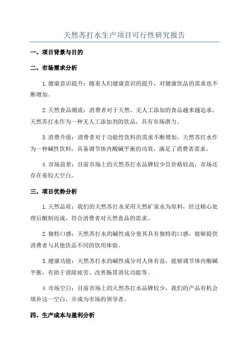 天然苏打水生产项目可行性研究报告