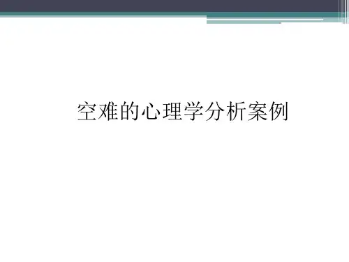 空难的心理学分析案例