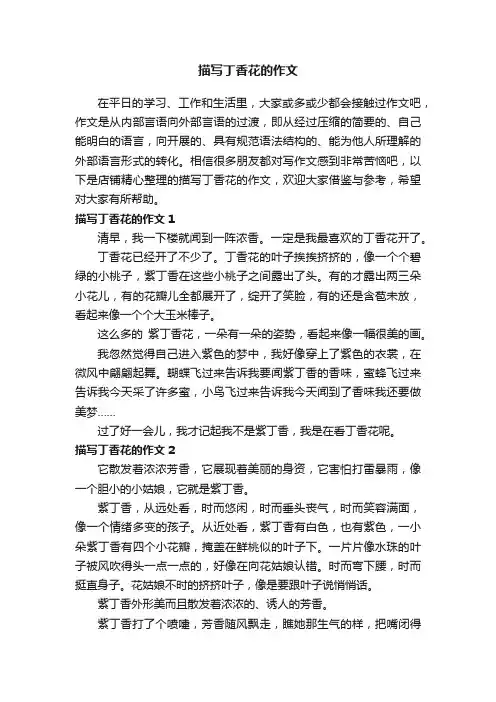 描写丁香花的作文