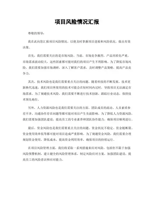 项目风险情况汇报