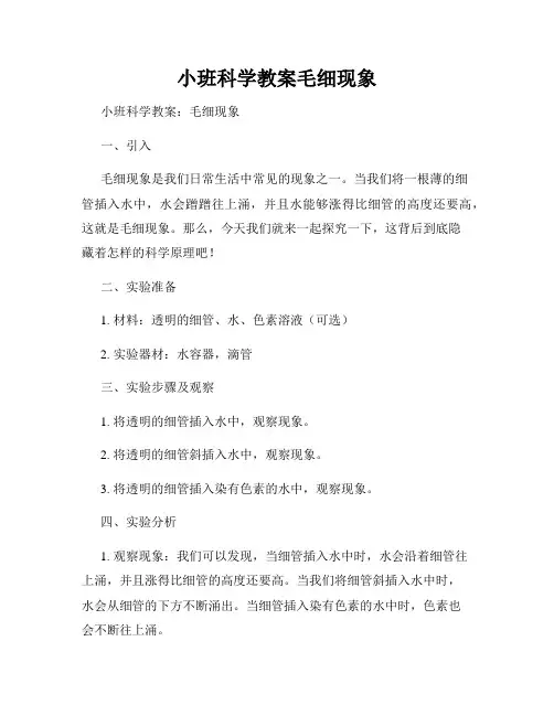 小班科学教案毛细现象