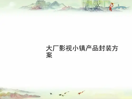 影视小镇产品封装方案汇报