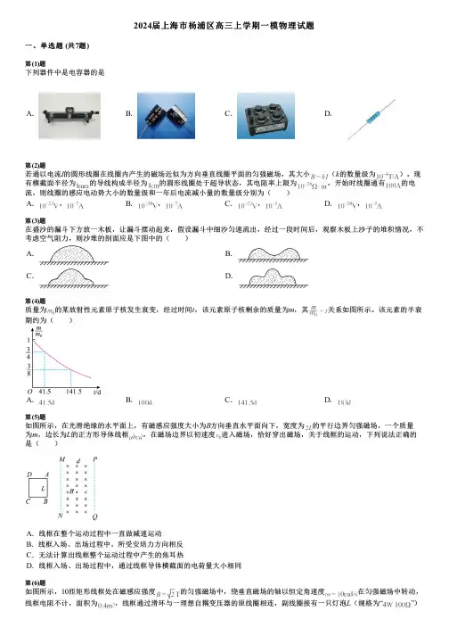2024届上海市杨浦区高三上学期一模物理试题