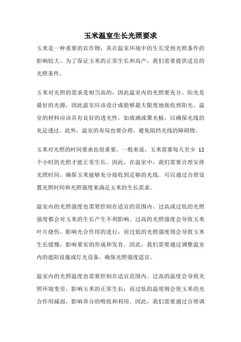 玉米温室生长光照要求