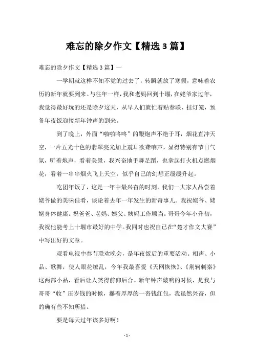 难忘的除夕作文【3篇】
