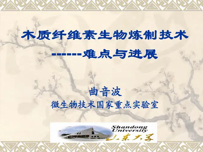 木质纤维素生物炼制技术难点与进展-简