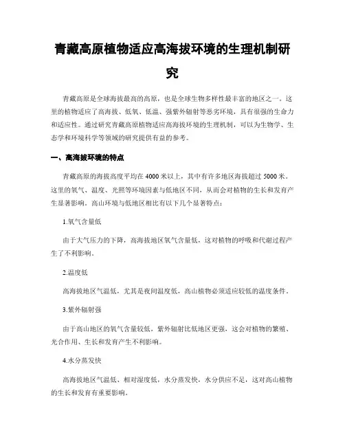 青藏高原植物适应高海拔环境的生理机制研究