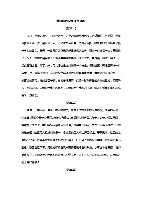 我眼中的家乡作文300