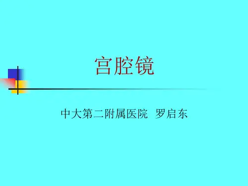 宫腔镜的仪器及噐械