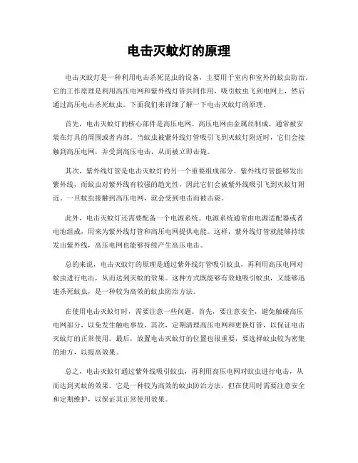 电击灭蚊灯的原理