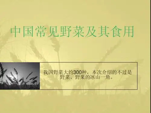 中国常见野菜及其食用