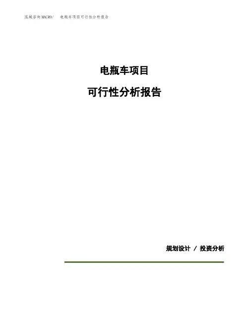 电瓶车项目可行性分析报告(模板参考范文)