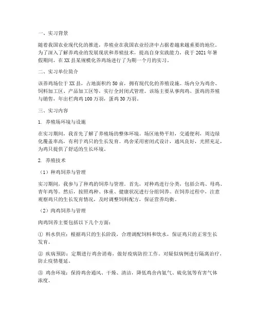 关于养鸡的实习报告