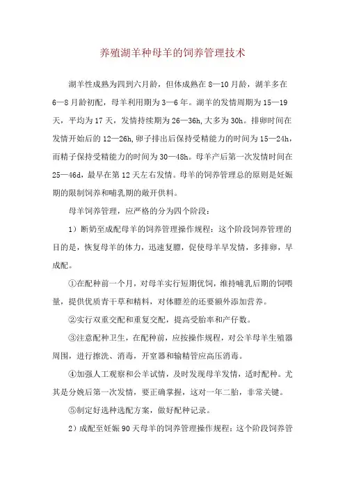 养殖湖羊种母羊的饲养管理技术