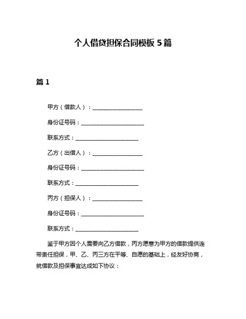 个人借贷担保合同模板5篇