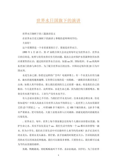 世界水日国旗下的演讲