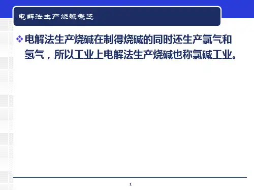 电解法生产烧碱—电解法制烧碱的基本原理