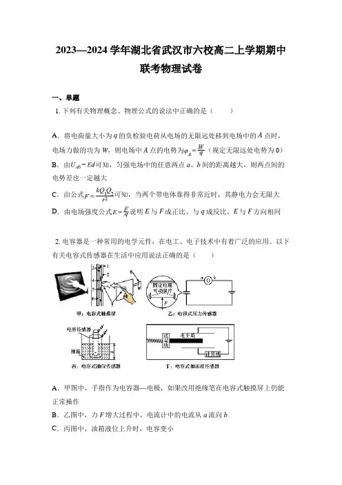 2023—2024学年湖北省武汉市六校高二上学期期中联考物理试卷