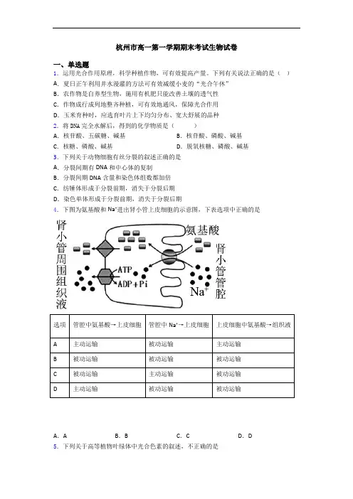 杭州市高一第一学期期末考试生物试卷