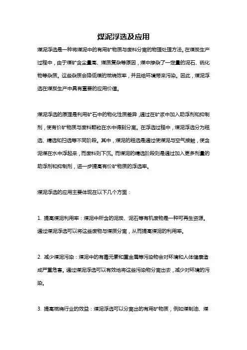 煤泥浮选及应用