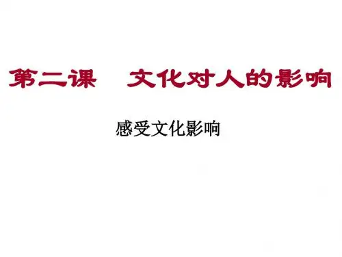 高二政治感受文化影响(2)