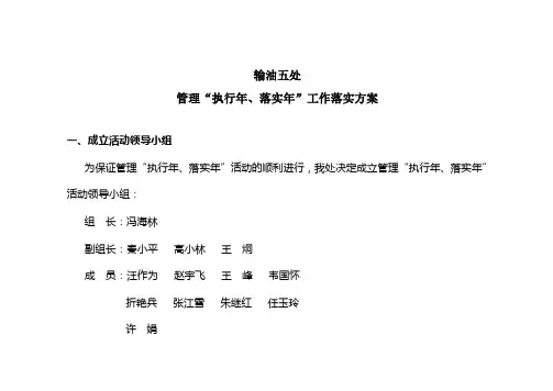 工作落实方案(管理“执行年、落实年”)