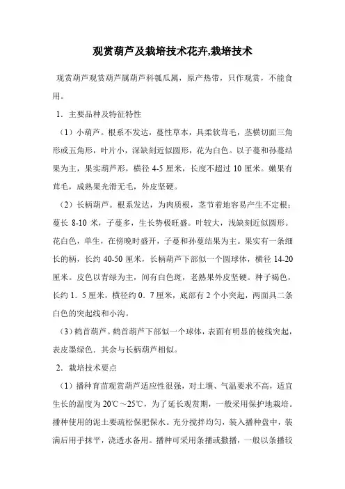 观赏葫芦及栽培技术花卉