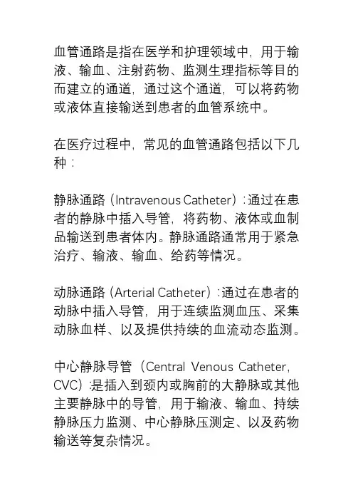 血管通路概念