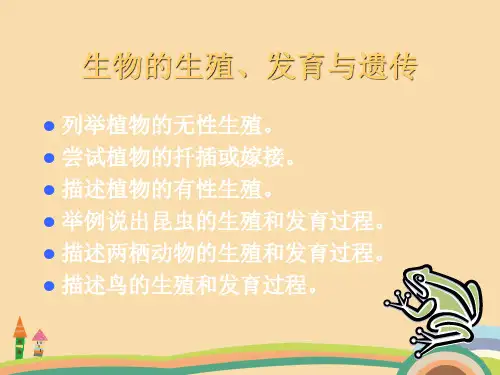 九年级生物生物的生殖、发育与遗传复习PPT优秀课件