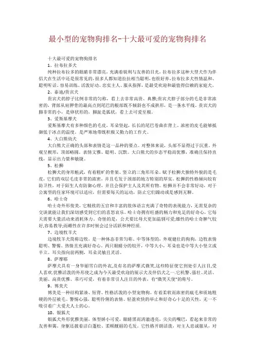 最小型的宠物狗排名-十大最可爱的宠物狗排名