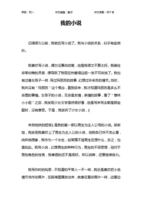 我的小说作文【初中初一800字】