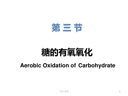 糖的有氧氧化(教学课件)