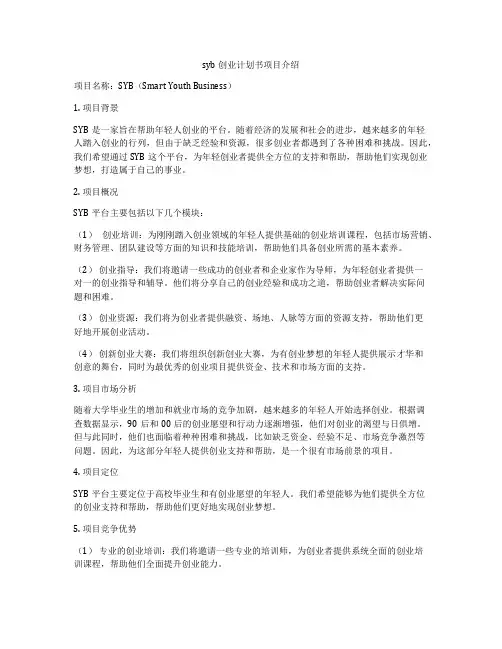 syb创业计划书项目介绍