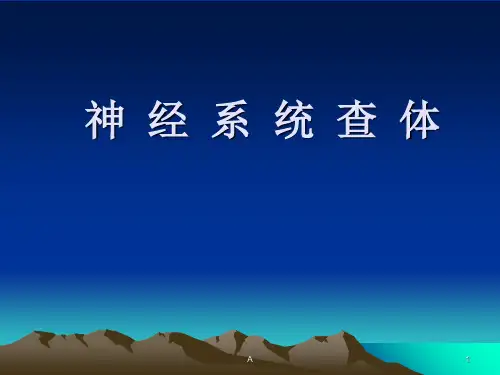 神经系统查体(讲课)PPT