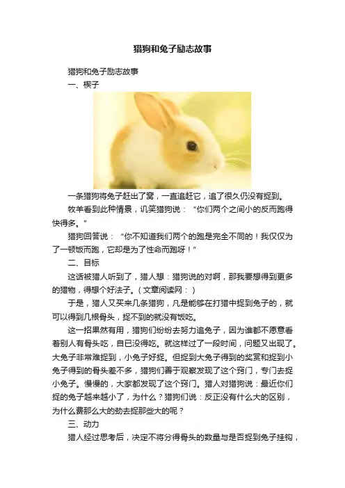 猎狗和兔子励志故事